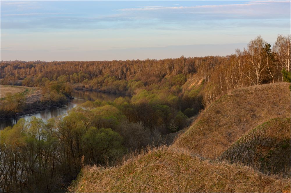 Первая зелень на восходе
