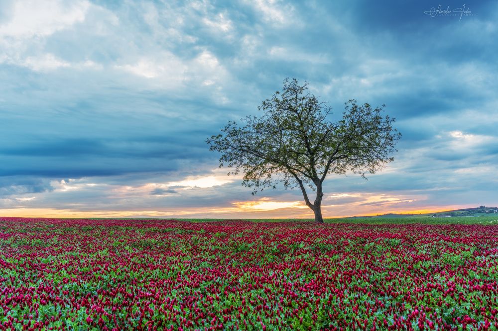 Spring