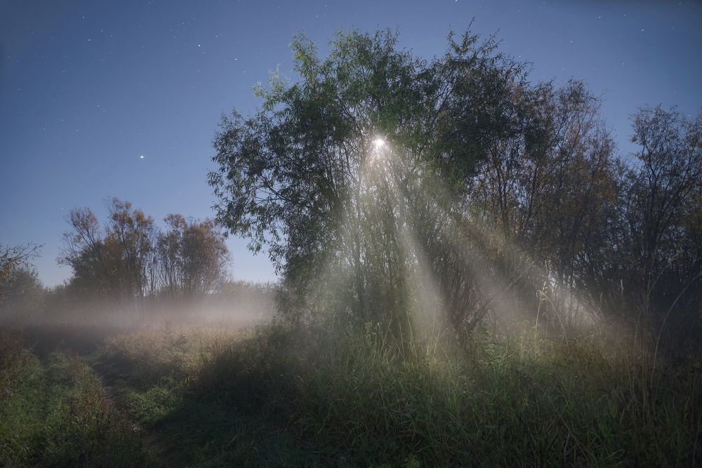 Туманная лунная ночь