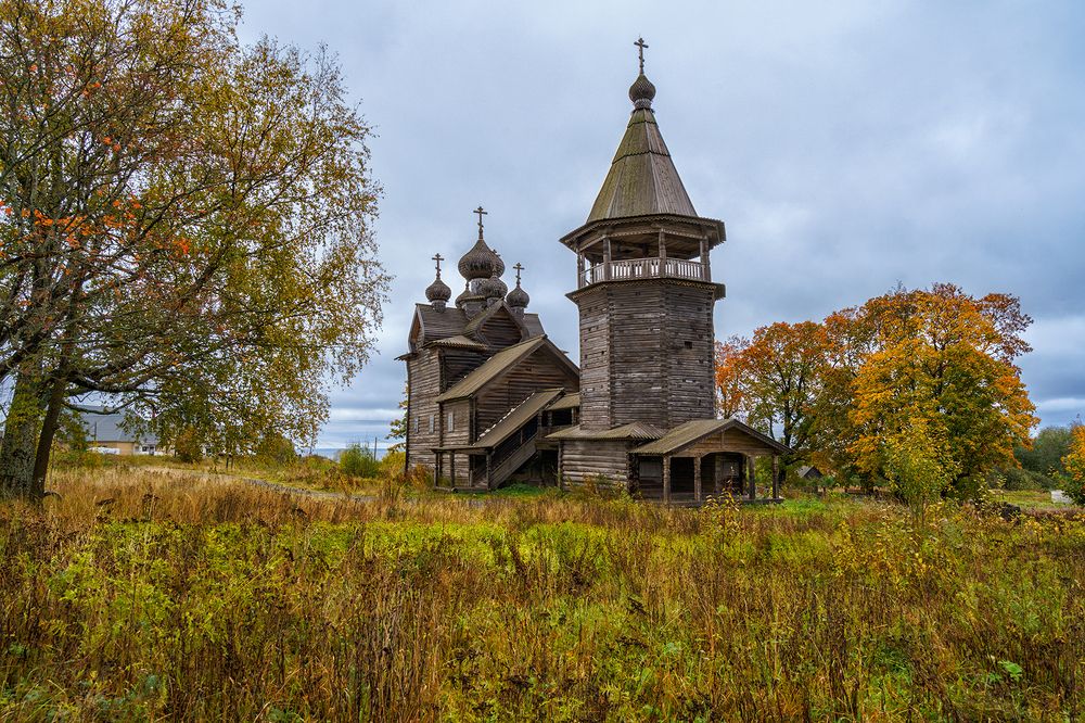 Вепский лес