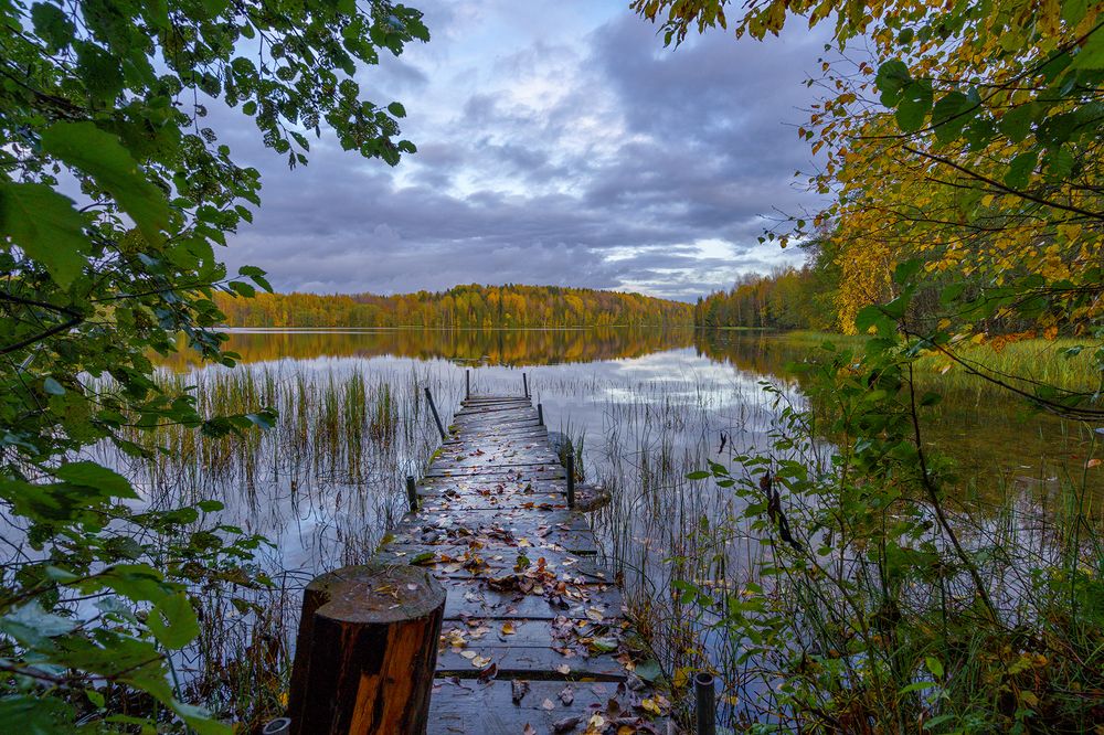 Вепский лес