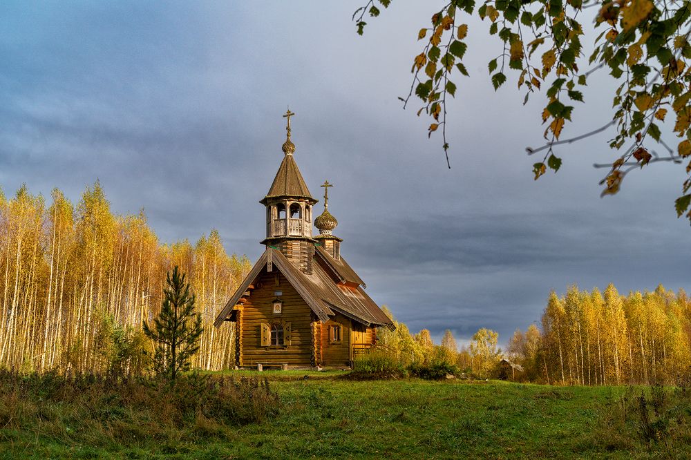 Вепский лес