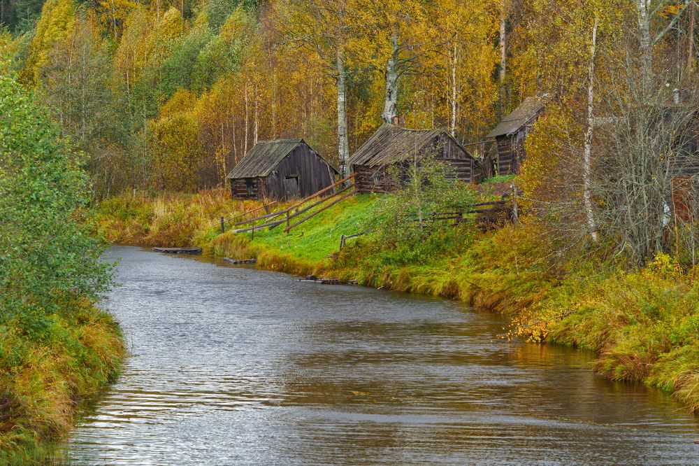 Вепский лес