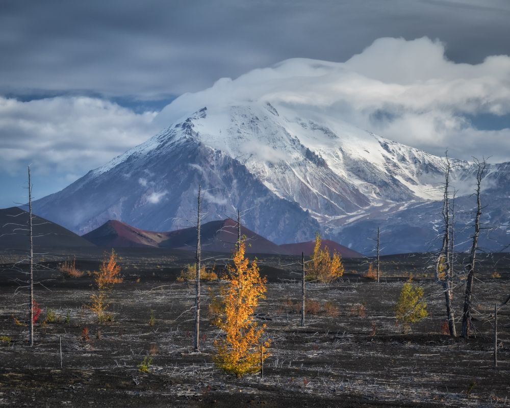 Камчатка