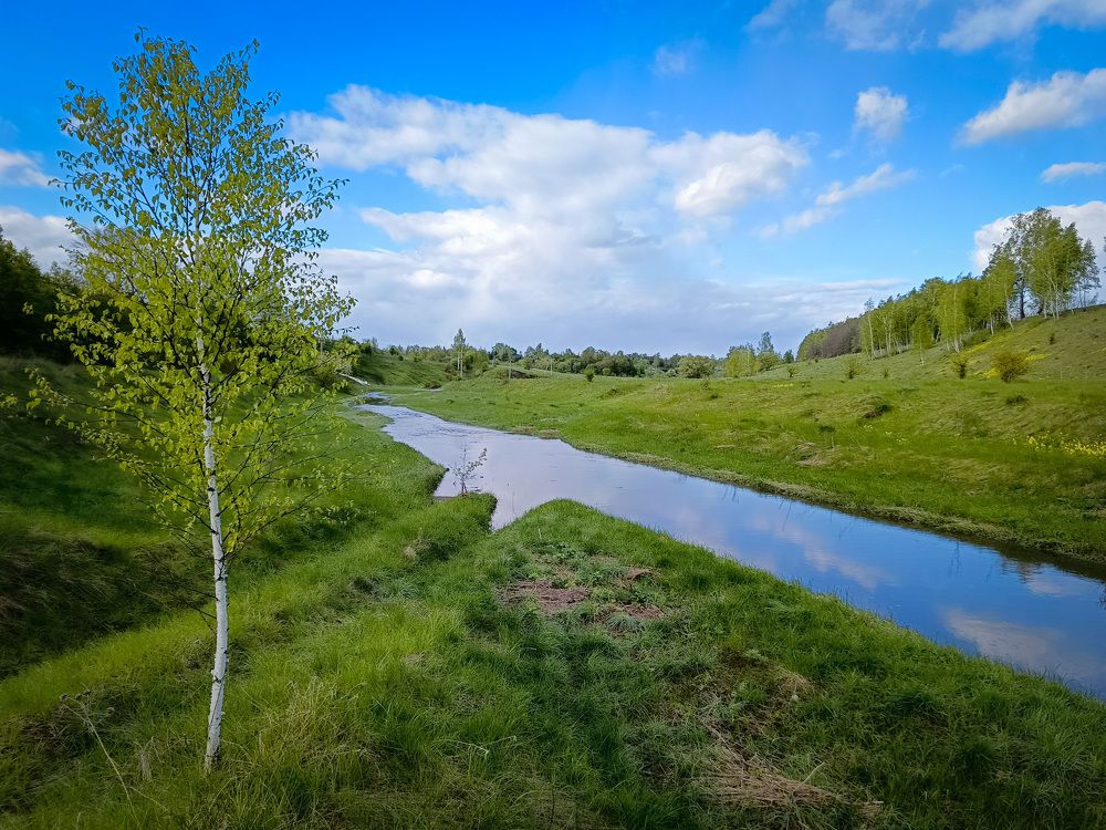 Photo 2637446
