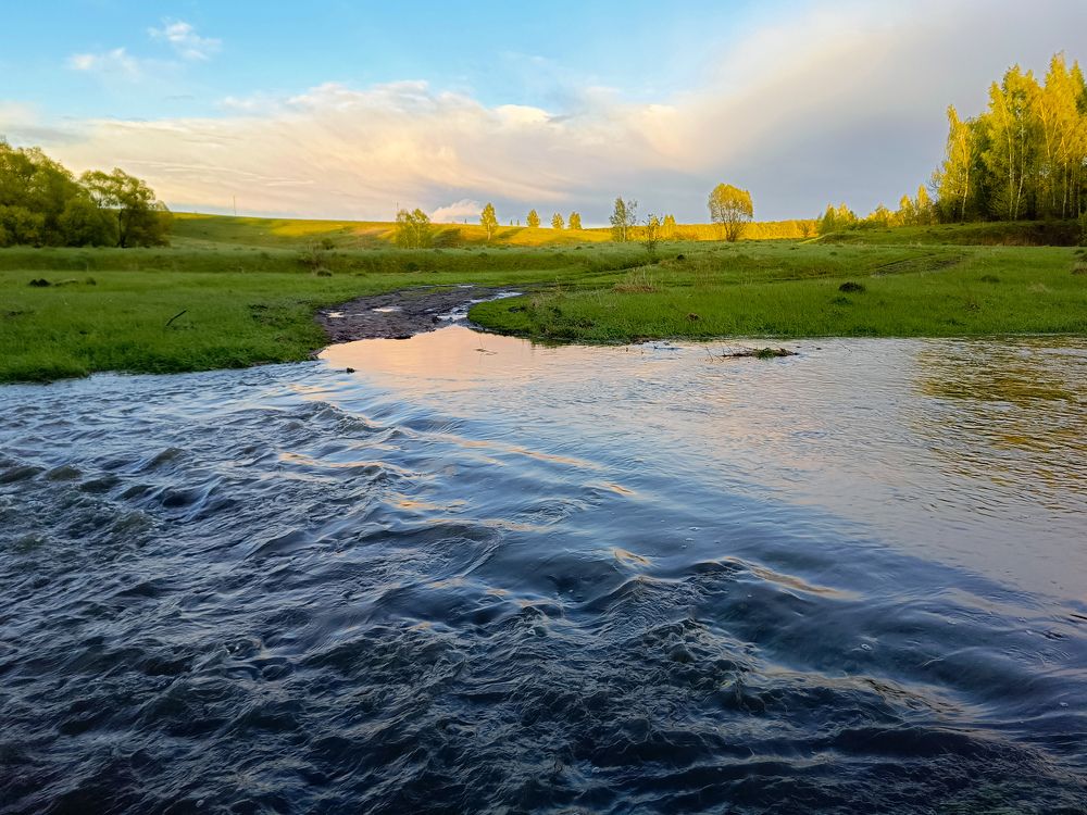 Photo 2637464