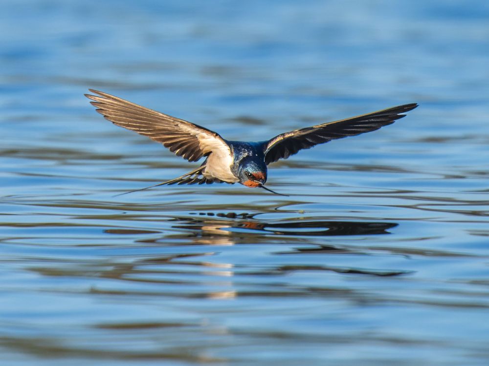 Photo 2637735