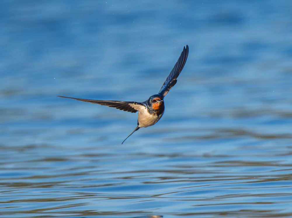 Photo 2637738