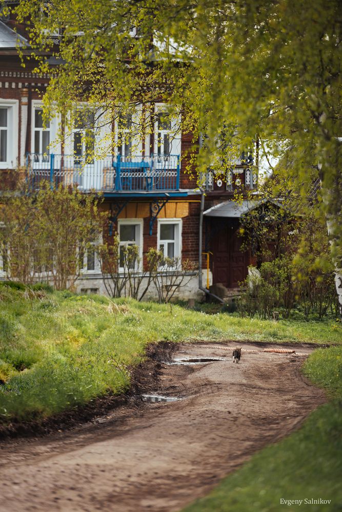 Весна на волжских берегах