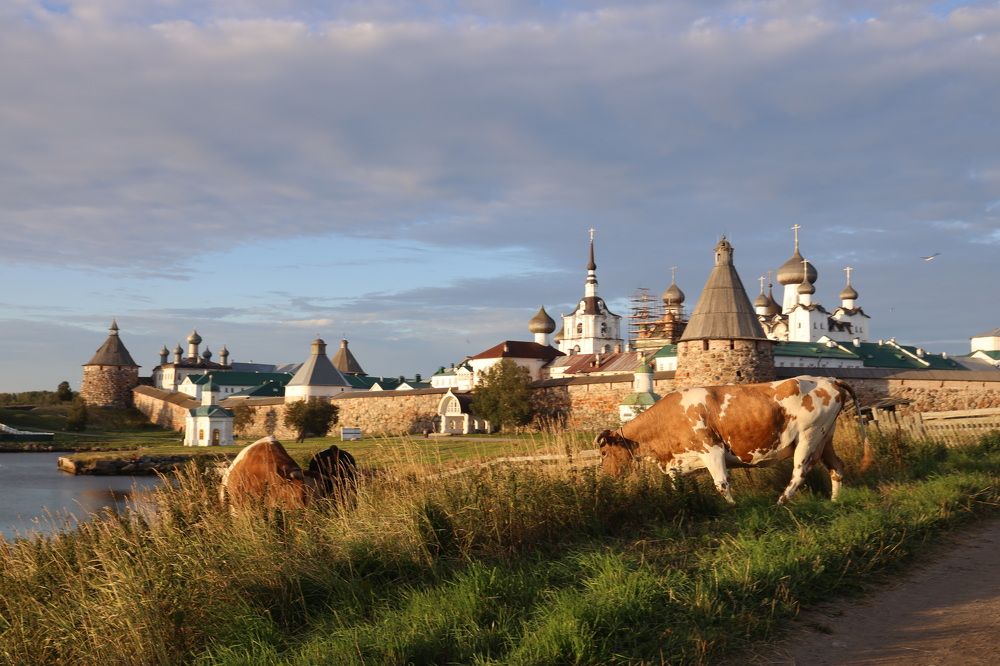 Соловки. Душа русского севера