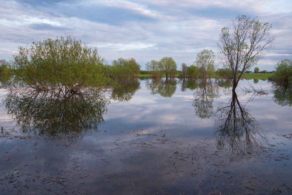 Весеннее половодье