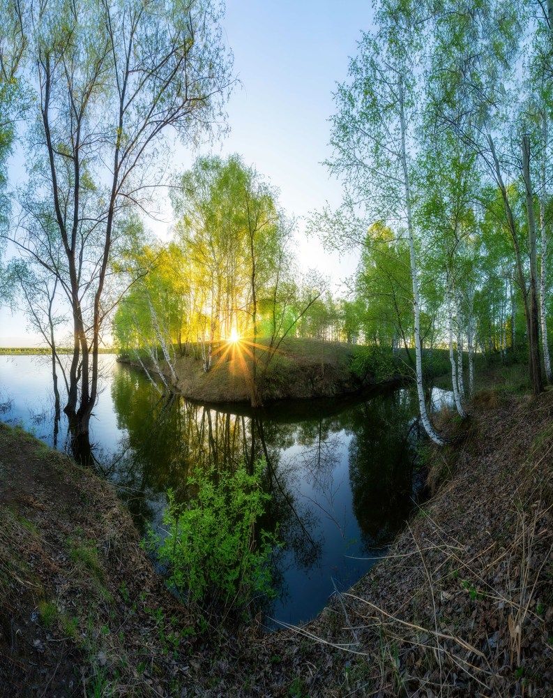 Photo 2640655