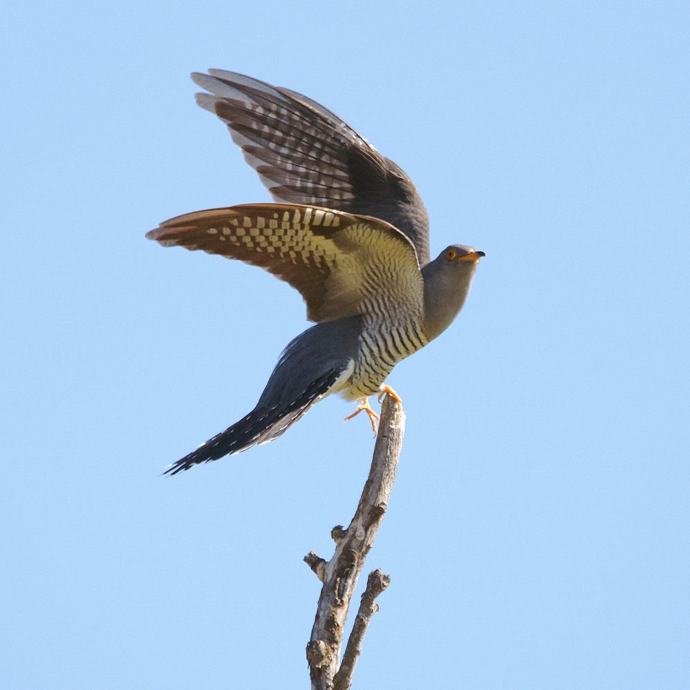 Photo 2640725