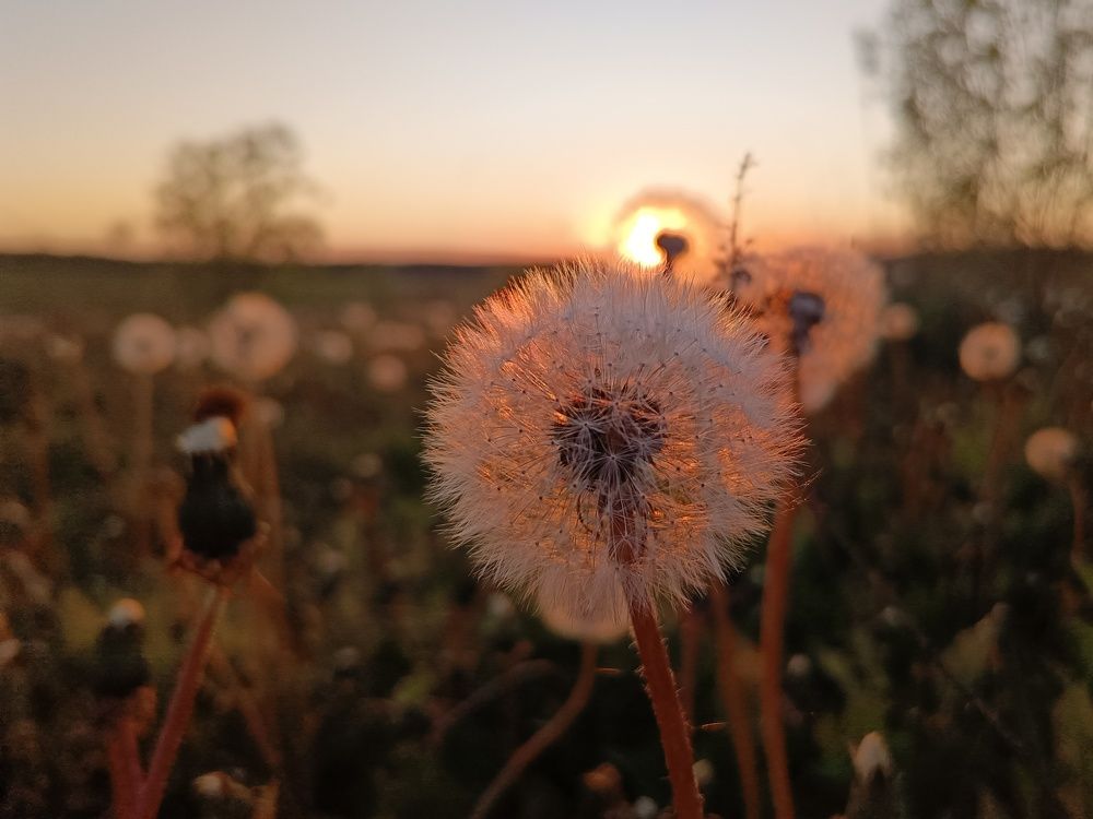 Photo 2641368