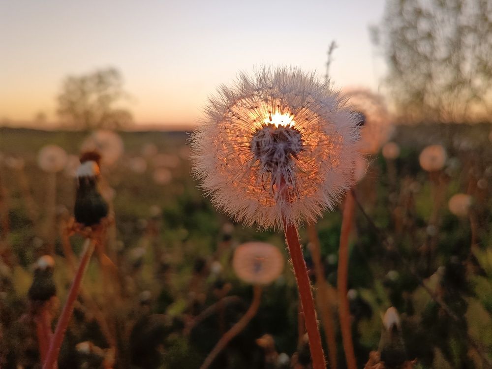 Photo 2641369