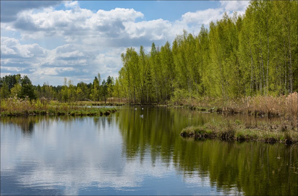 Погожий майский день