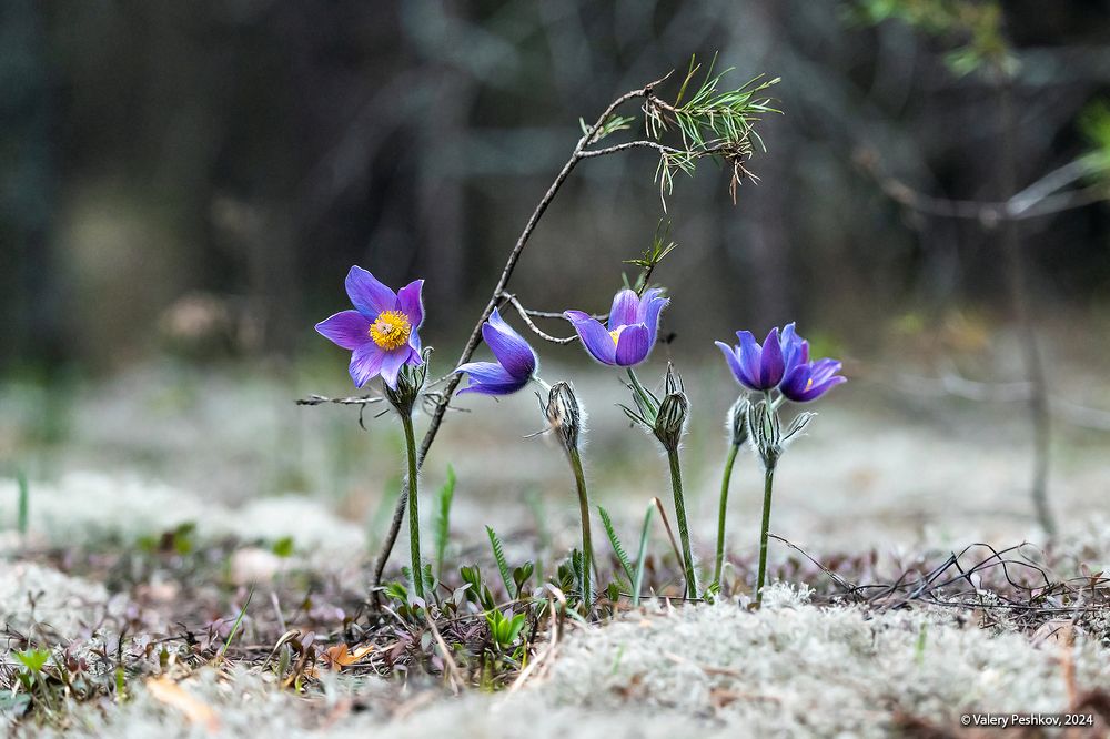 04 &hellip; однако, удалось найти новых персонажей, &hellip;