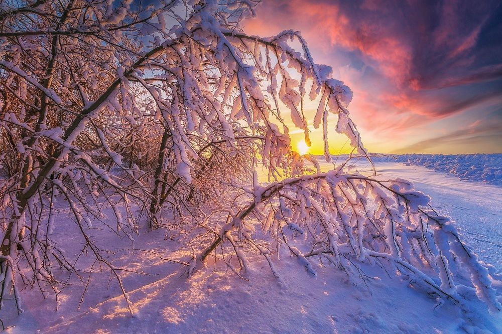 Былые веремена