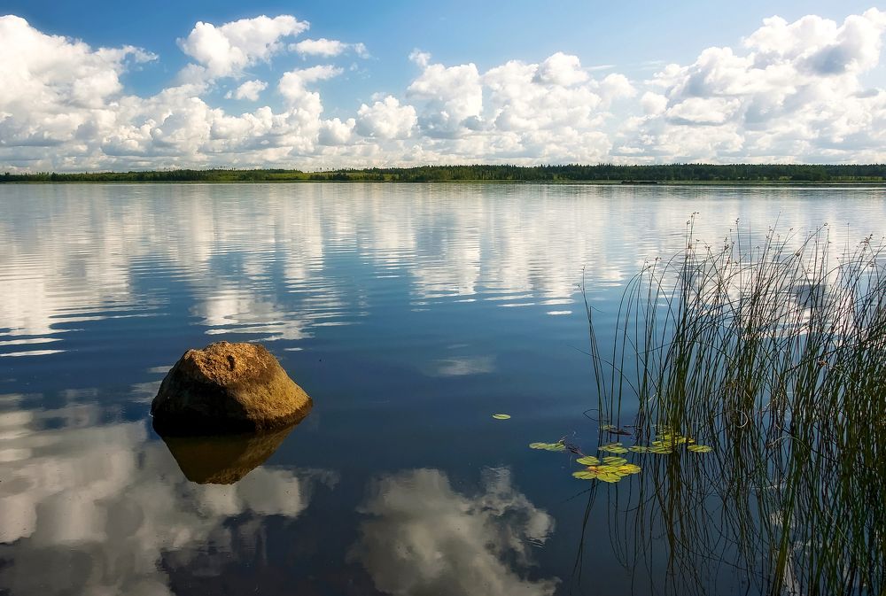 Летнее утро под Выборгом.