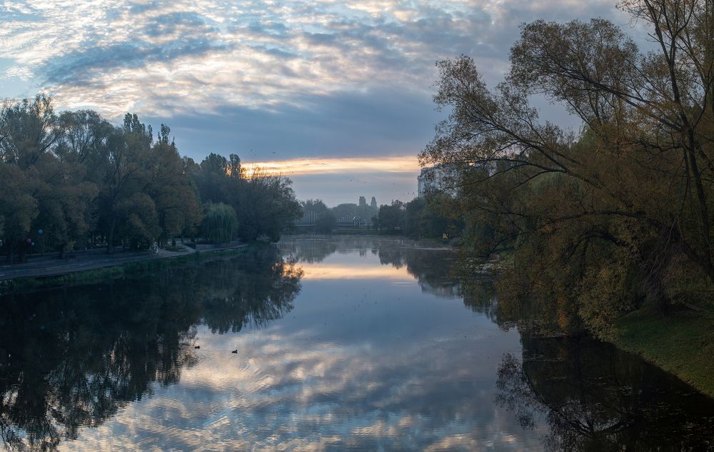 Утро в парке