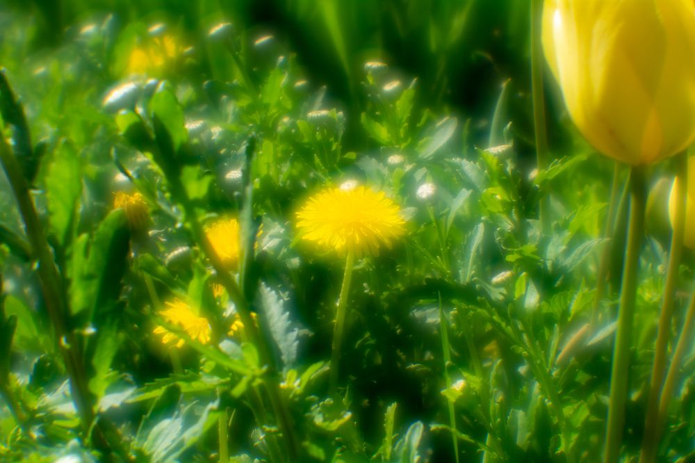 Photo 2642856