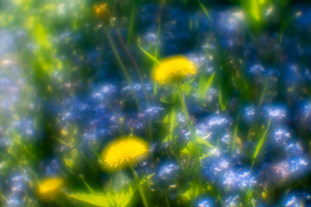 Photo 2642857