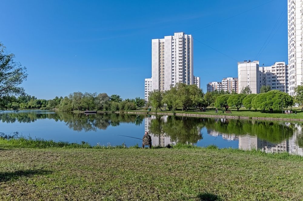 Майским утром на городском пруду