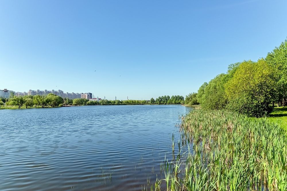 Майским утром на городском пруду
