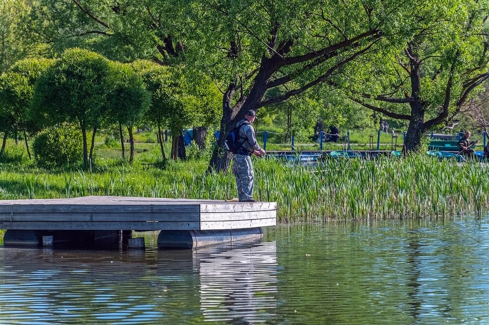 Майским утром на городском пруду