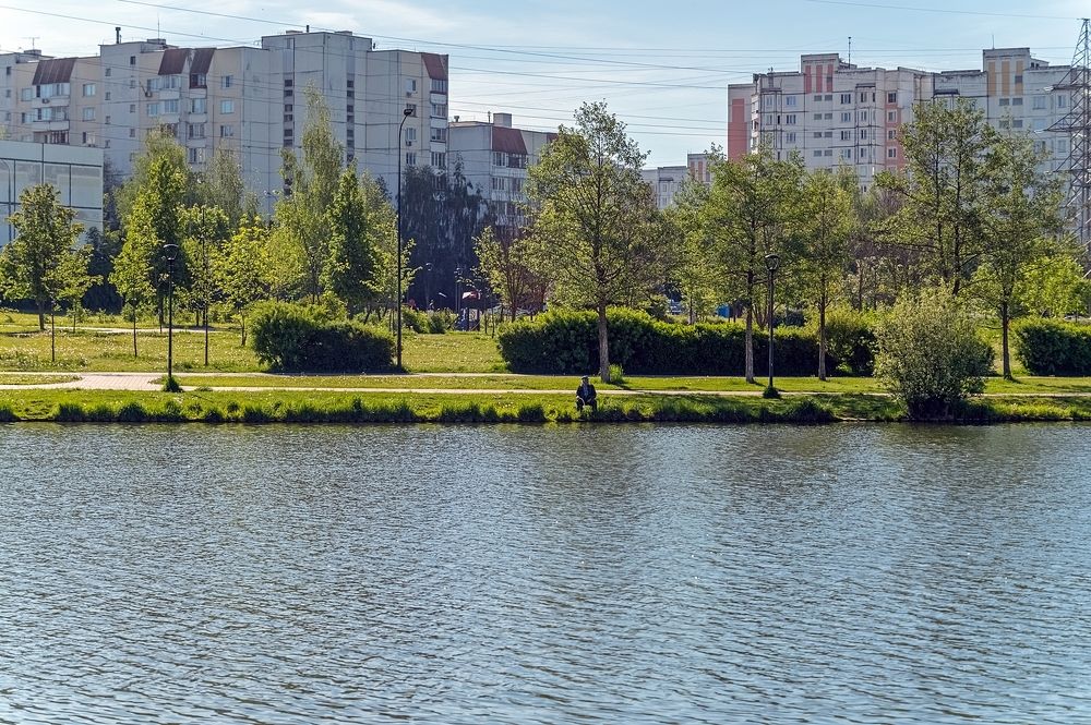Майским утром на городском пруду