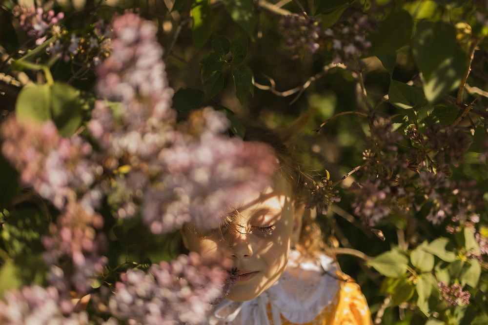 Photo 2643670