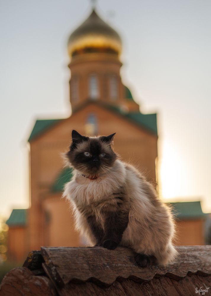 Колюпаново Свято-Казанский женский монастырь