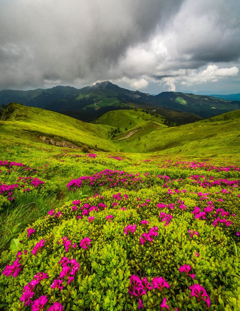 Romanian mountains