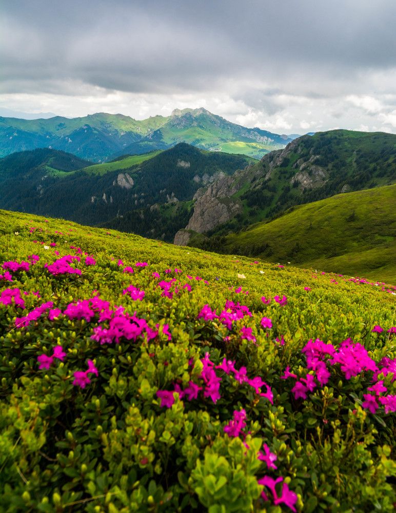 Romanian mountains