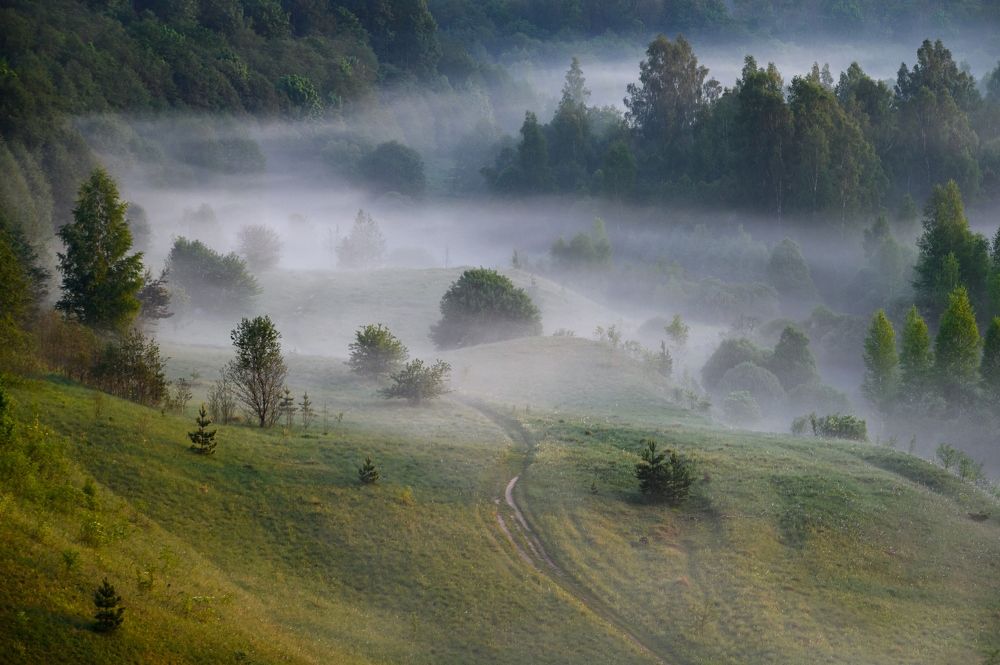 Весна