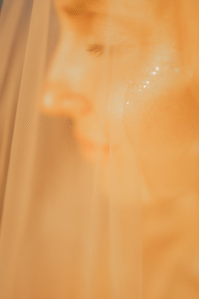 Photo 2645017