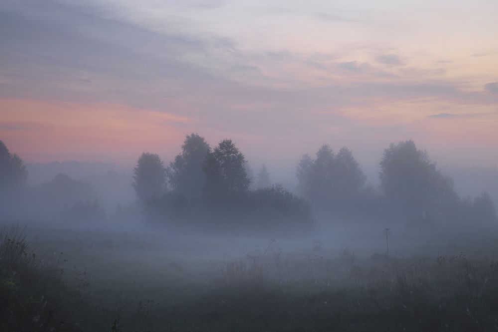 Предрассветное Смольнево