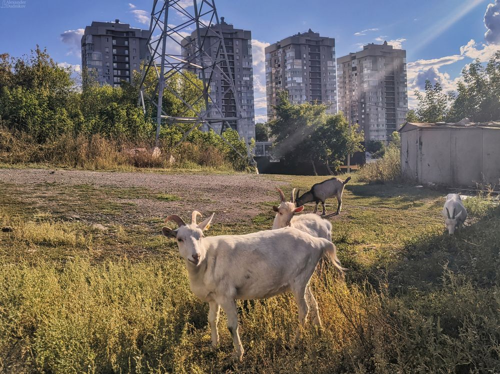 О городе и его зданиях