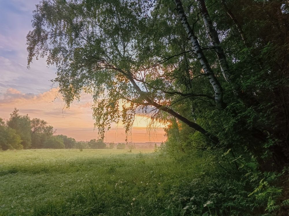 Photo 2646319