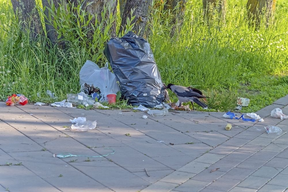 На Бога надейся....