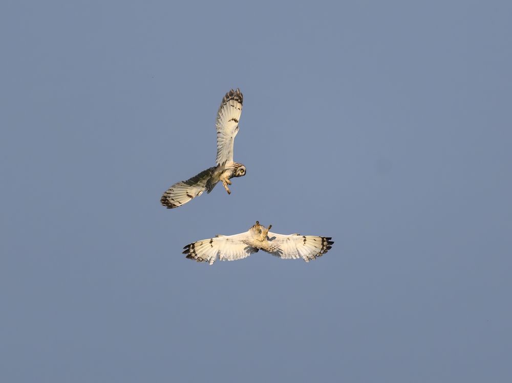 Photo 2647980