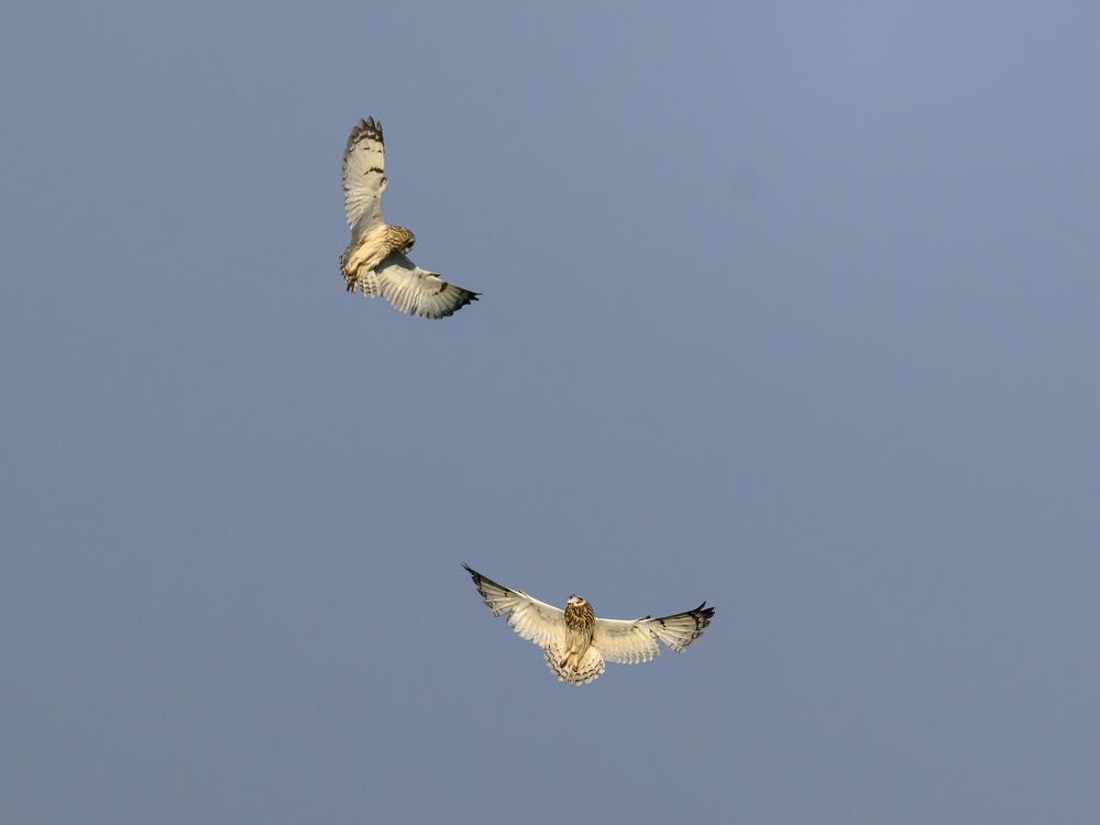 Photo 2647981