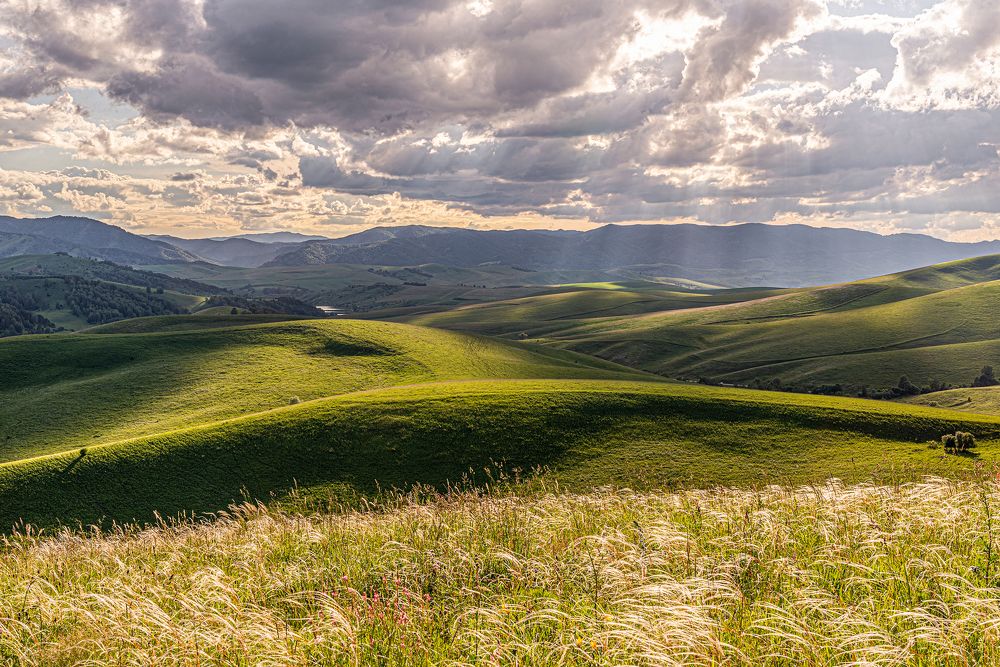 Природа Алтая