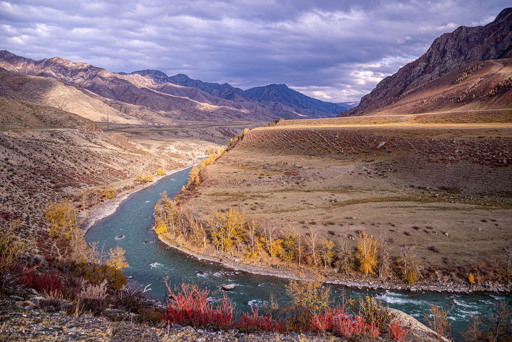 Природа Алтая