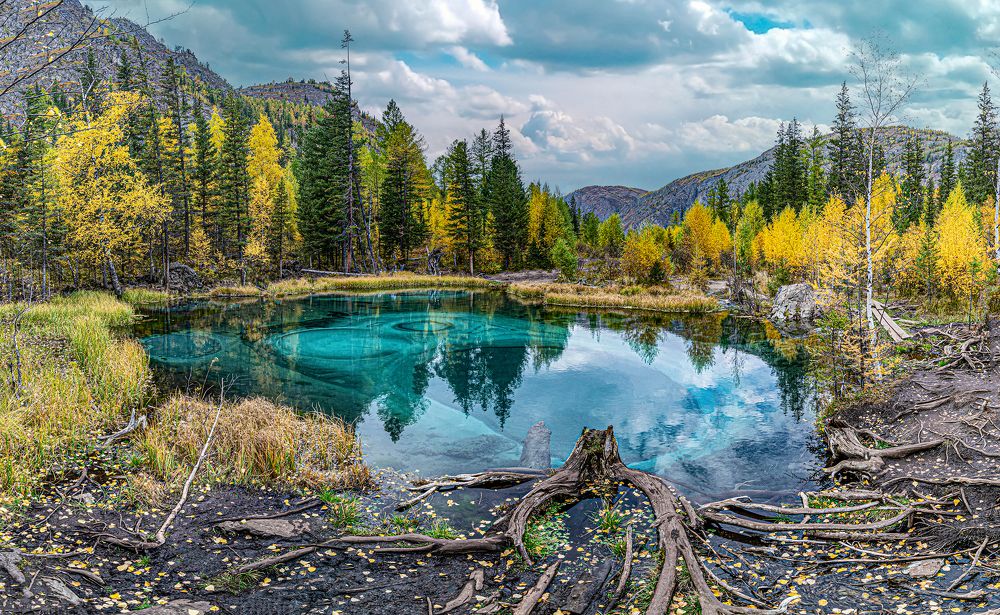 Природа Алтая