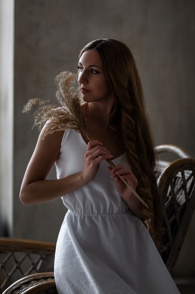 Photo 2648281