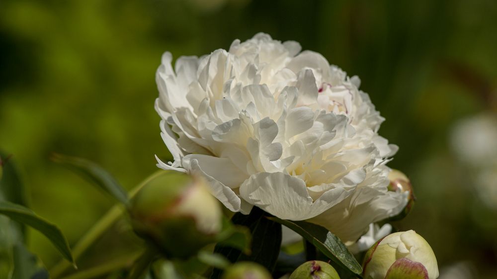 Photo 2648308