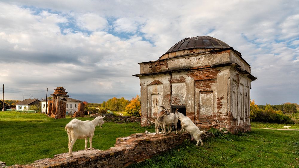Осеннее утро
