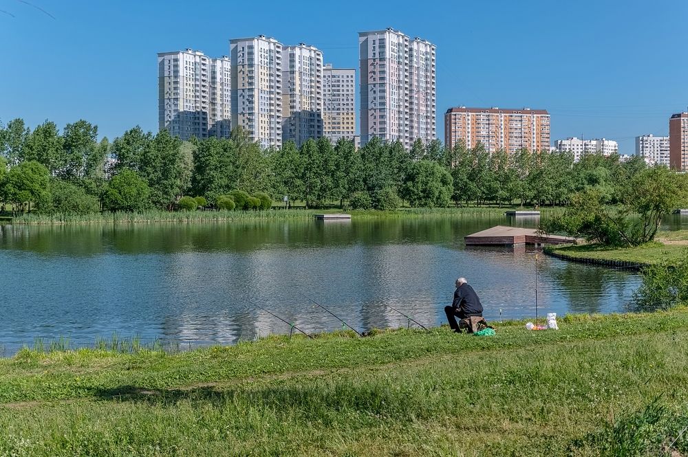 На городском пруду