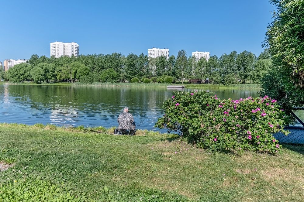 На городском пруду